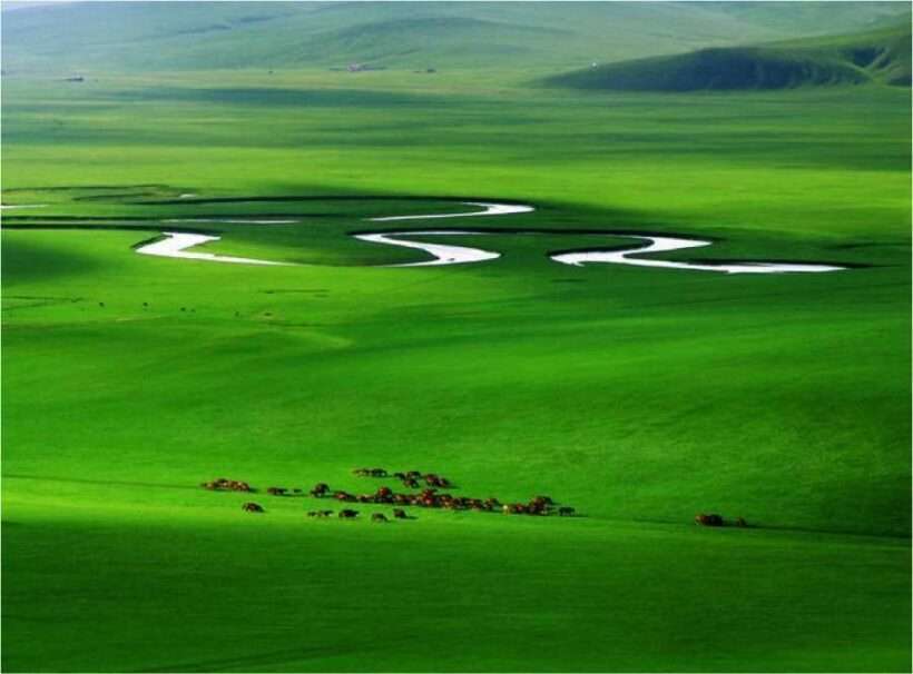 MONGOLIA HILL LANDSCAPE 4