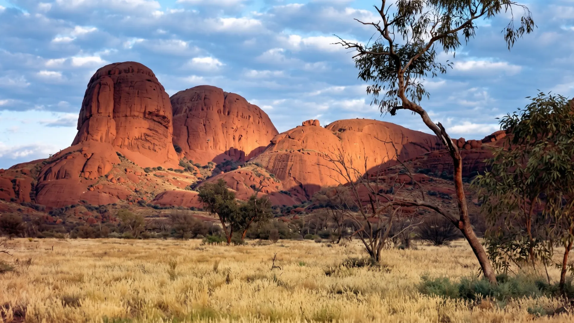 Formazioni rocciose rosse nell’Outback australiano con vegetazione arida e cielo nuvoloso sullo sfondo